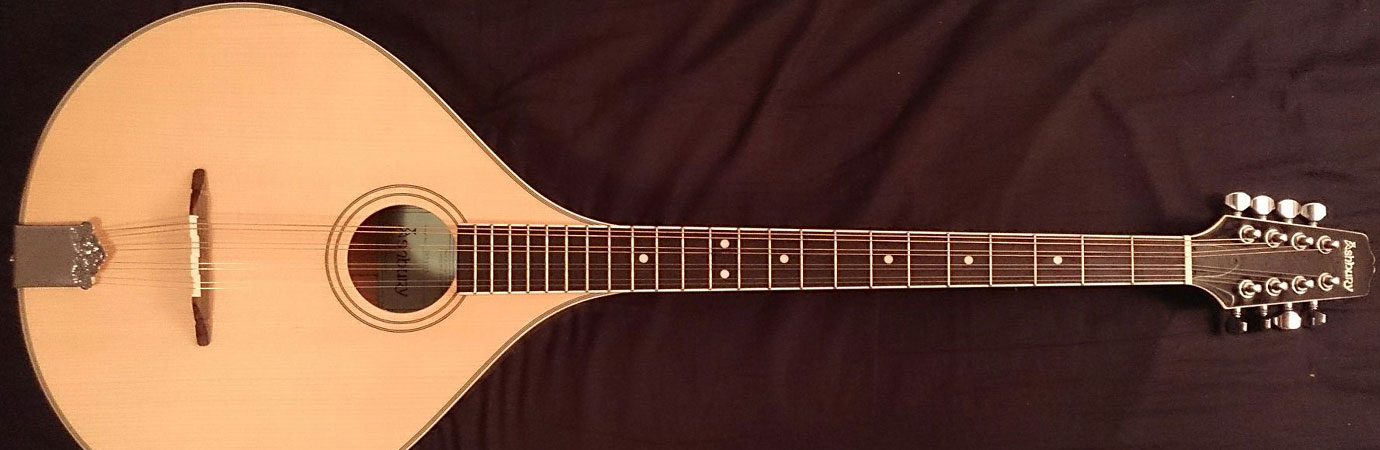 Bouzouki (Irish) Lessons in Rive-Sud Longueuil at Home
