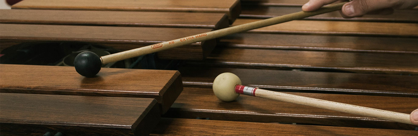 Xylophone Lessons at your home or at our Rive-Sud Longueuil Music School