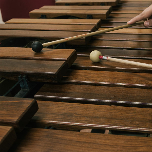 Xylophone Lessons in Rive-Sud Longueuil