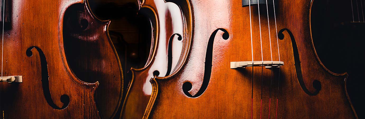 Upright Bass - Jazz Lessons Online
