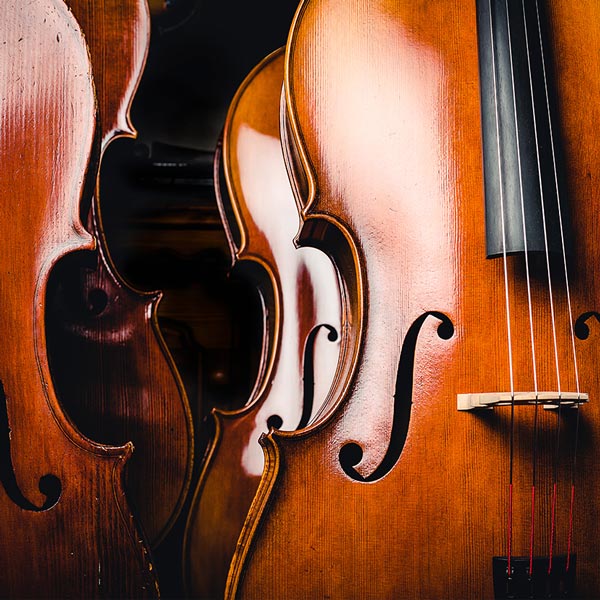 Upright Bass - Jazz Lessons Online