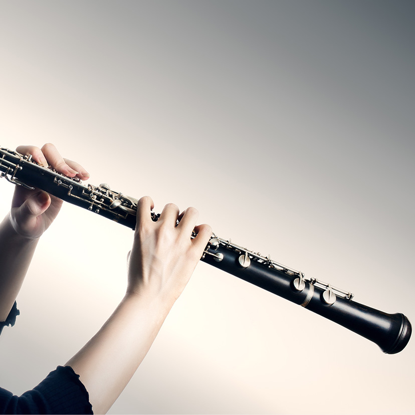 Oboe Lessons in Rive-Sud Longueuil at Home 